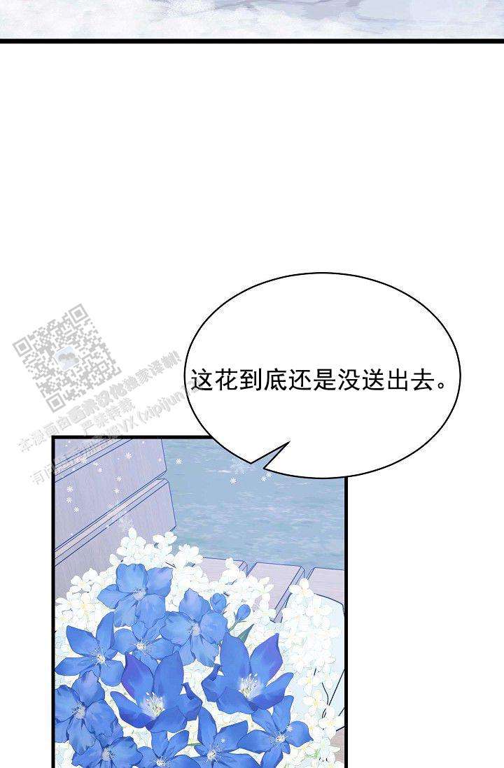 46.jpg