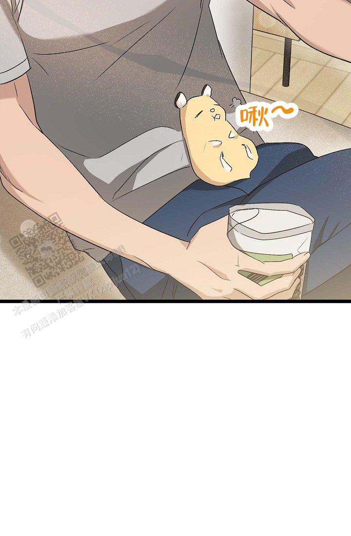 32.jpg