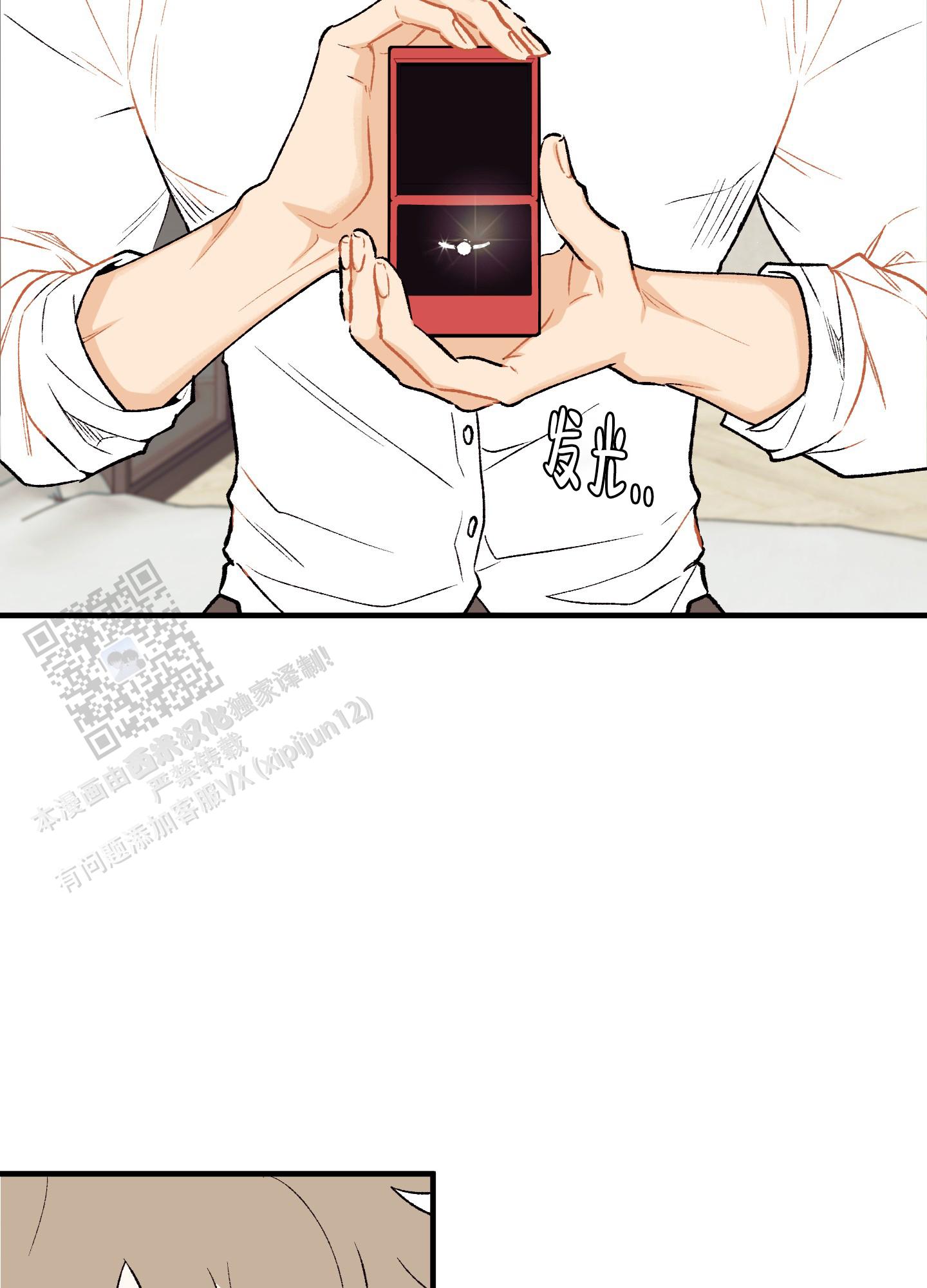 21.jpg