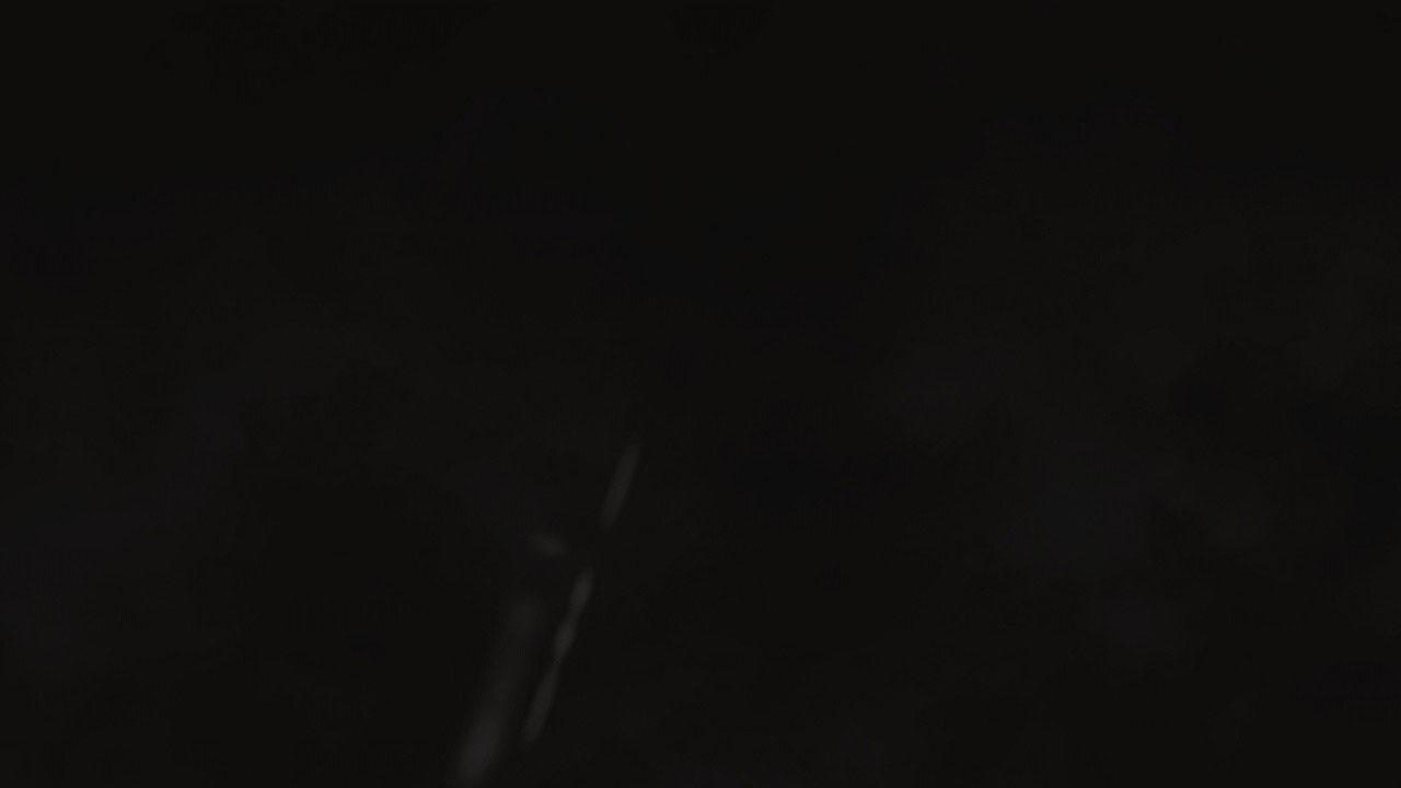 49.jpg
