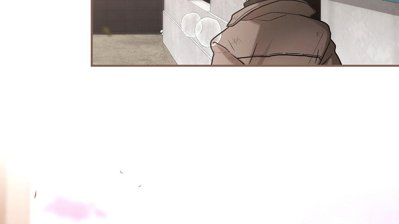 50.jpg