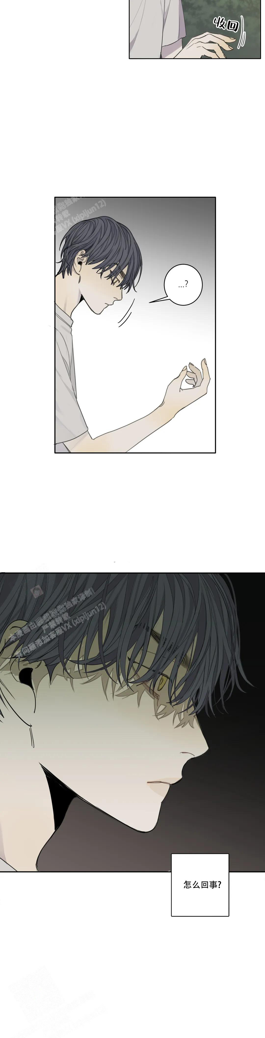 19.jpg