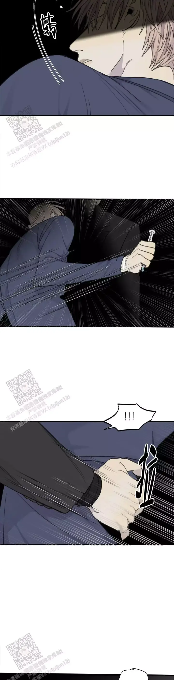 15.jpg