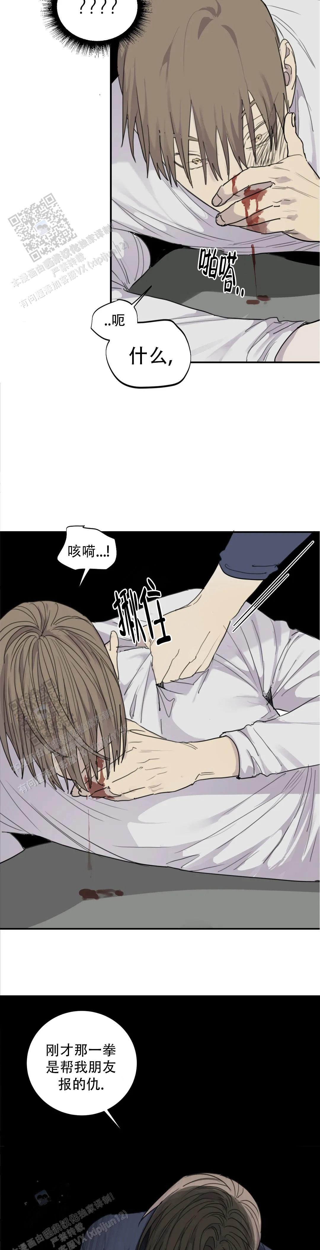 12.jpg