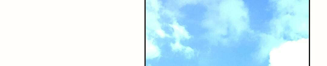 91.jpg