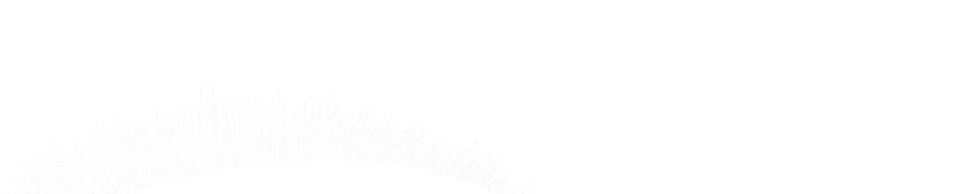 140.jpg