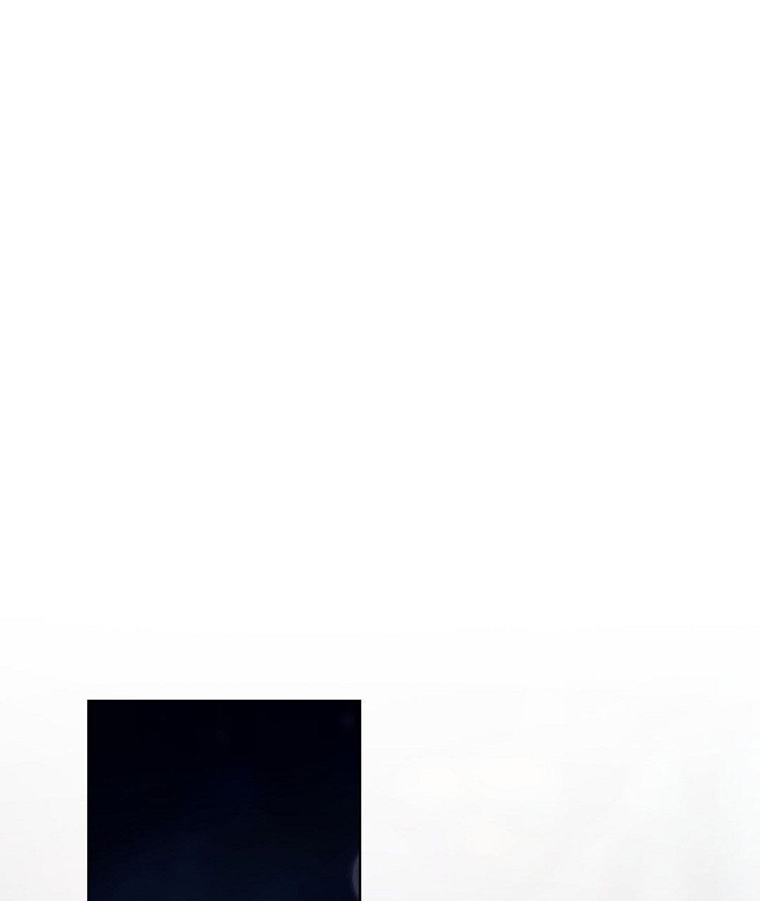 81.jpg
