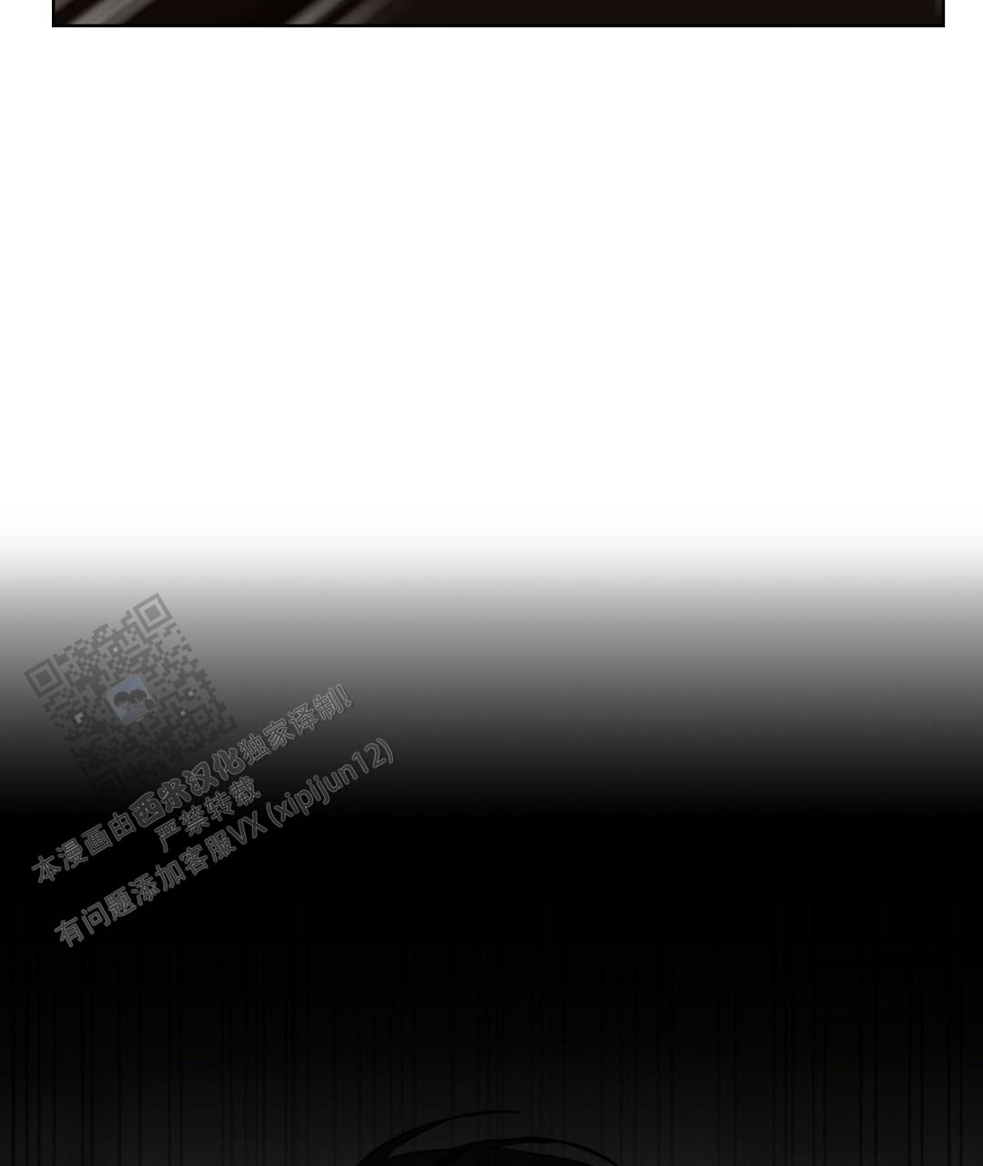 97.jpg