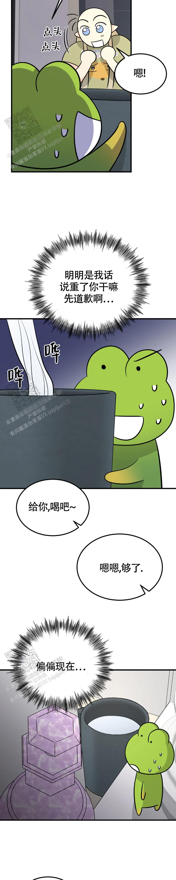 11.jpg