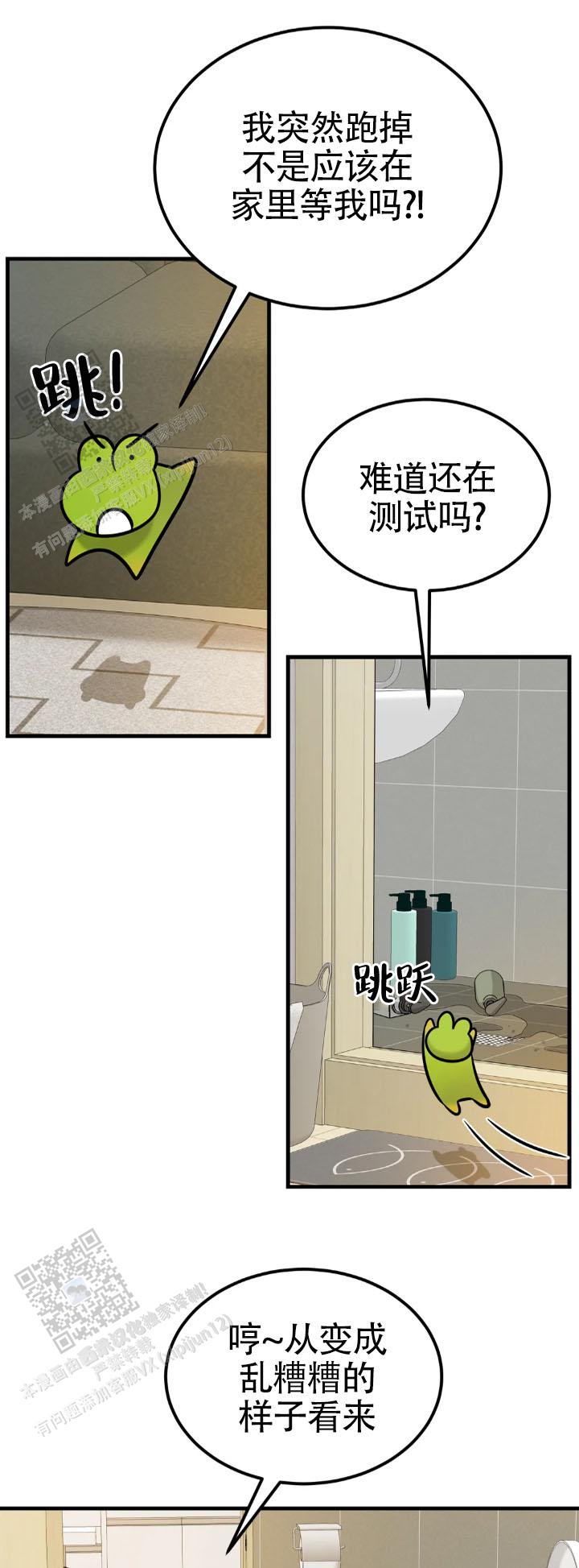 17.jpg
