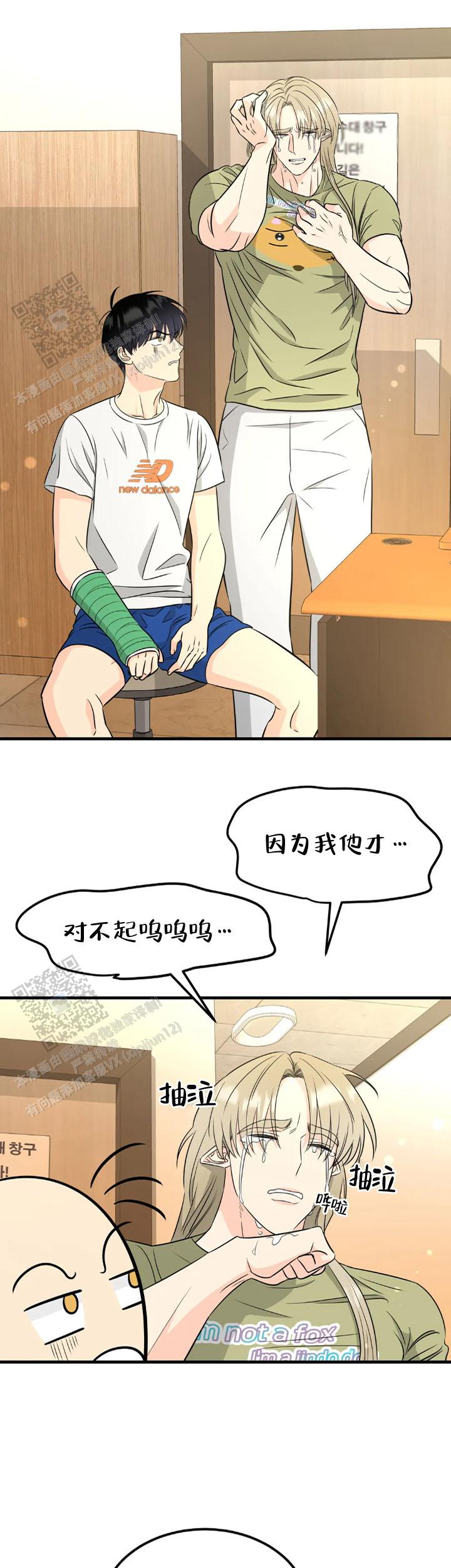 12.jpg