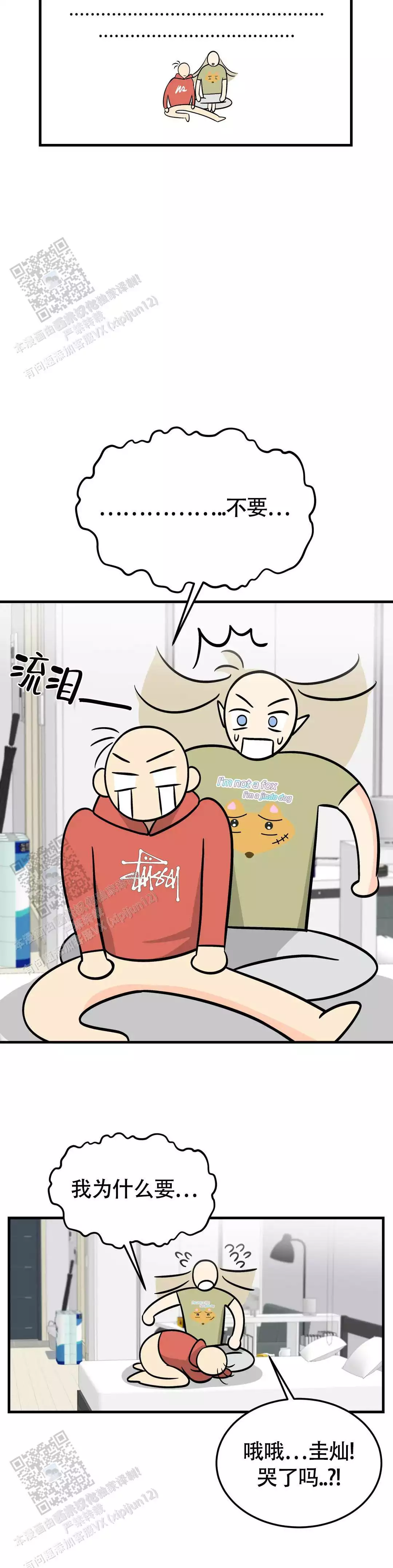 17.jpg