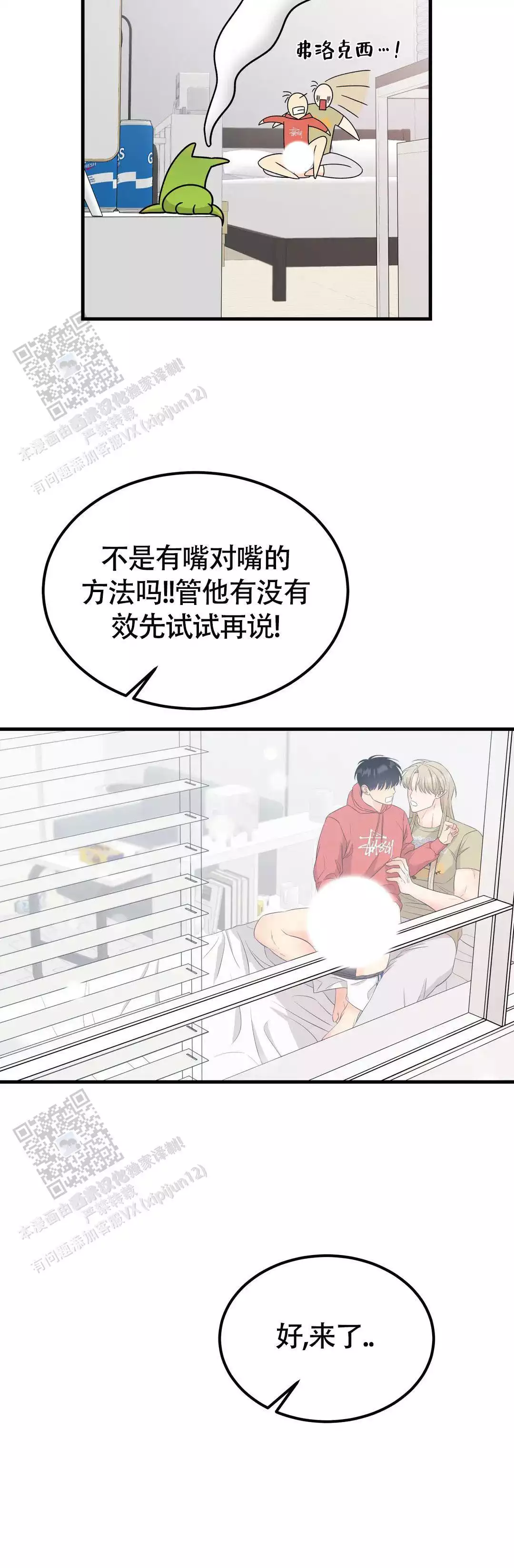 15.jpg