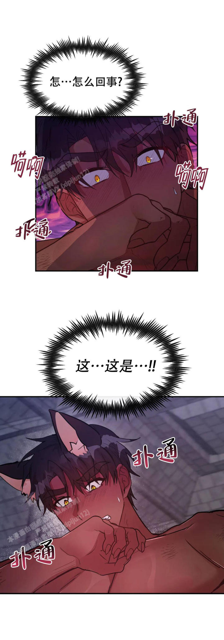17.jpg