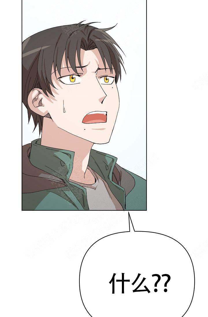 33.jpg