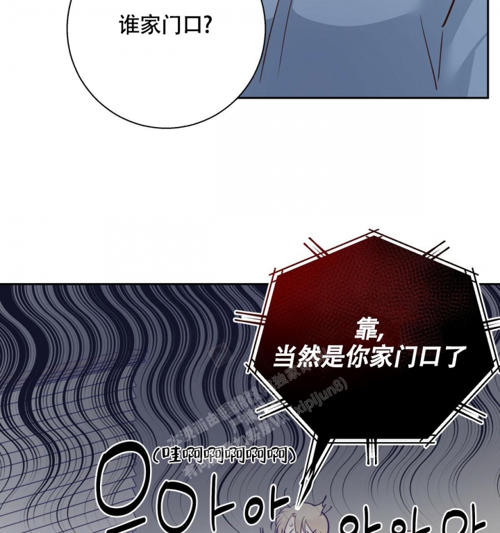 46.jpg