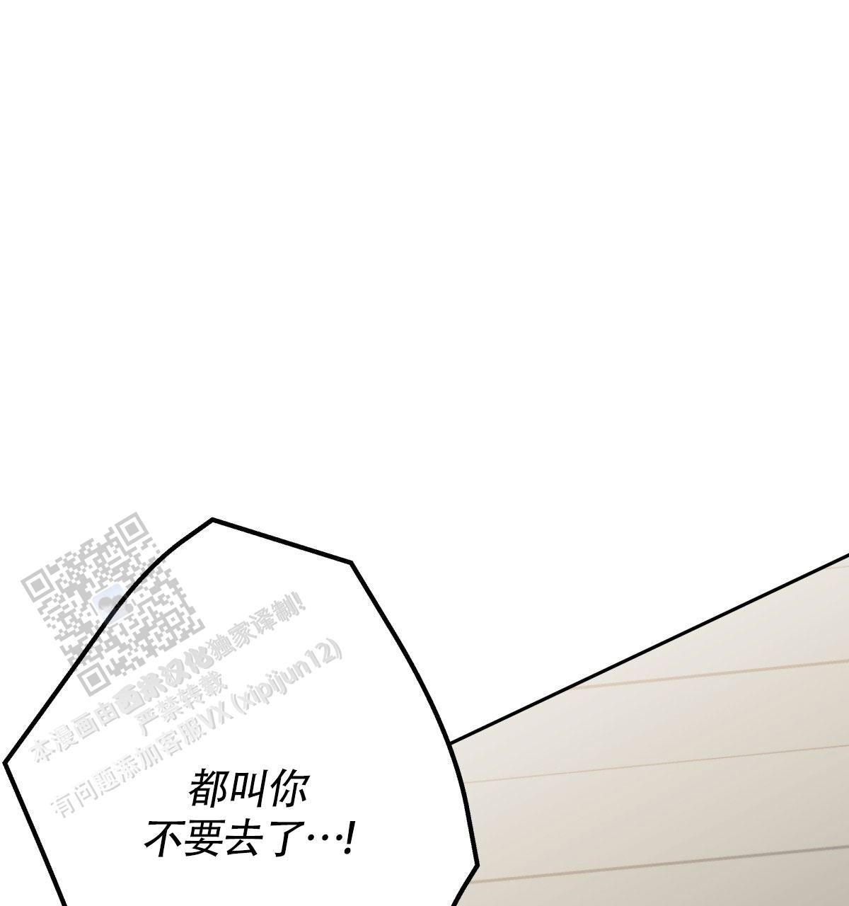 48.jpg