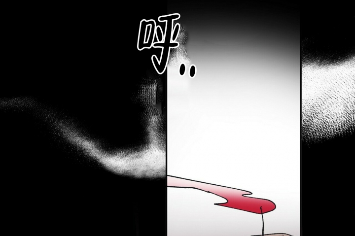 79.jpg