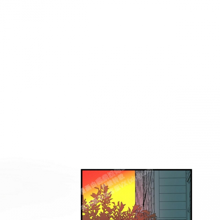 66.jpg