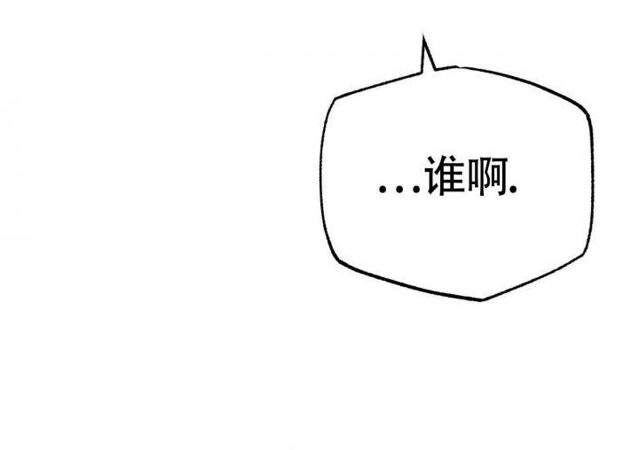 85.jpg