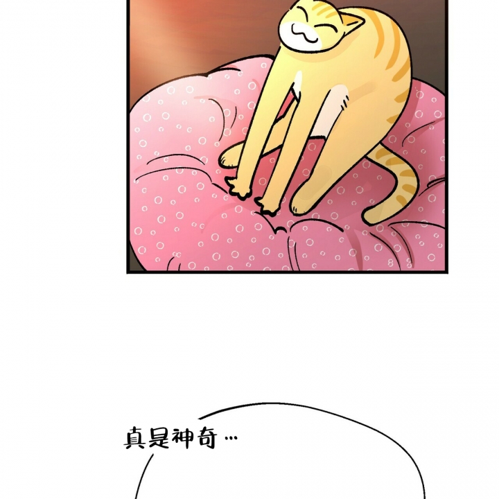 107.jpg