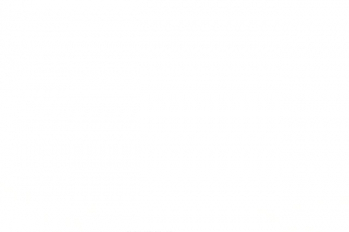 69.jpg