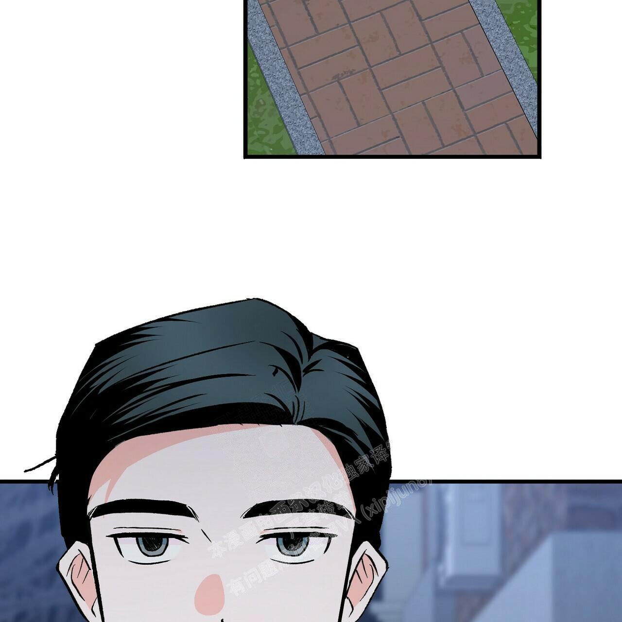 31.jpg