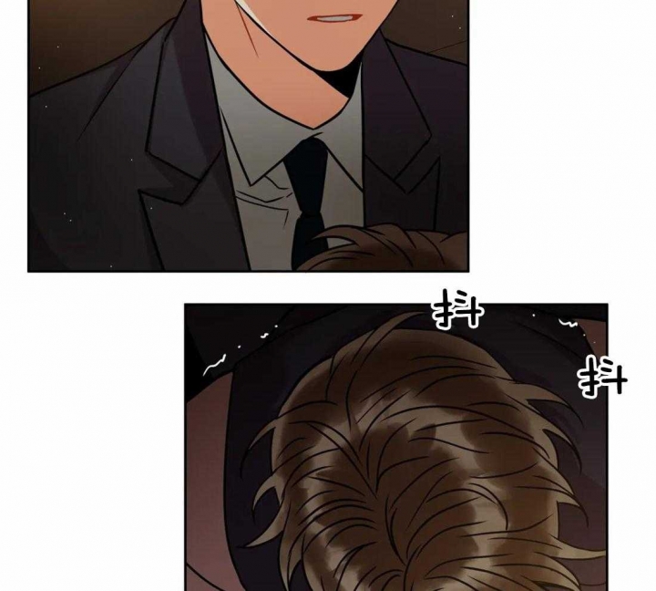 41.jpg