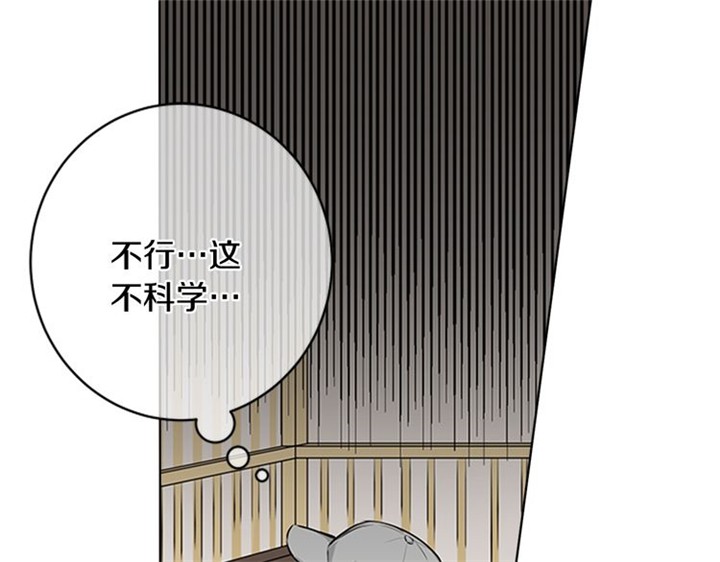 90.jpg