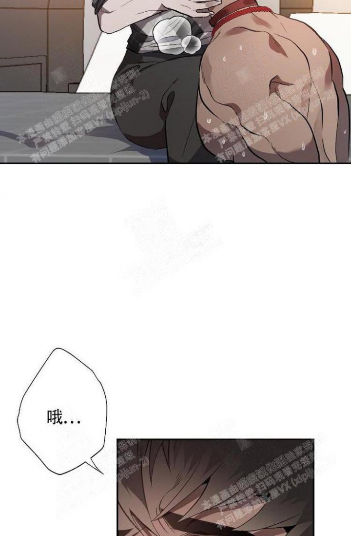 23.jpg