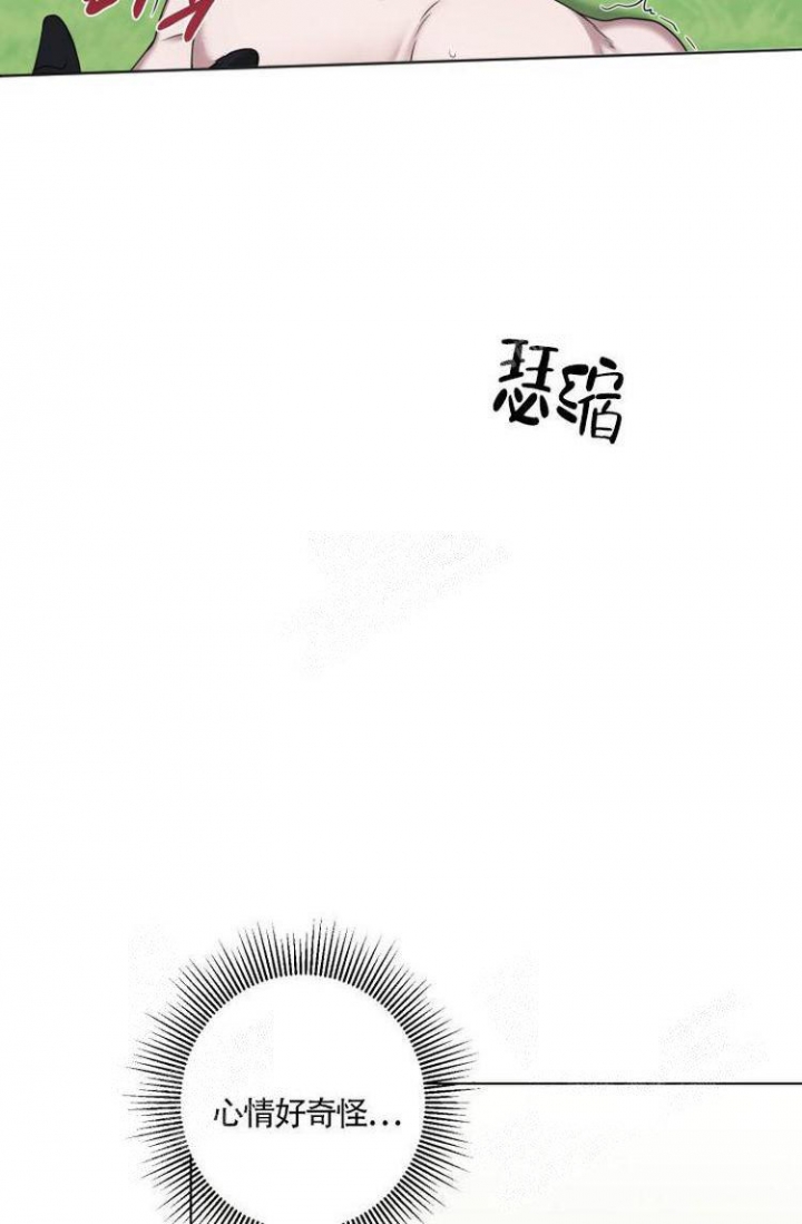 30.jpg