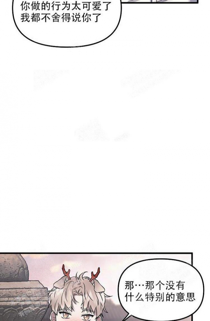 39.jpg
