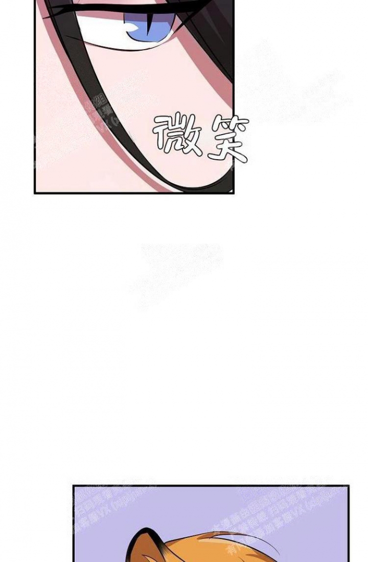 35.jpg