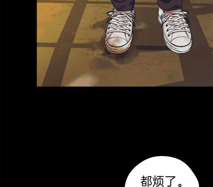 43.jpg
