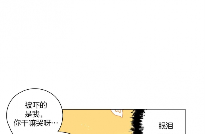 38.jpg