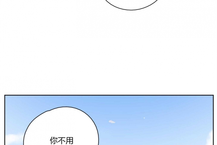52.jpg