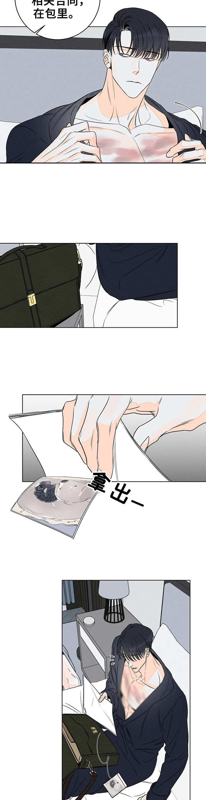 12.jpg