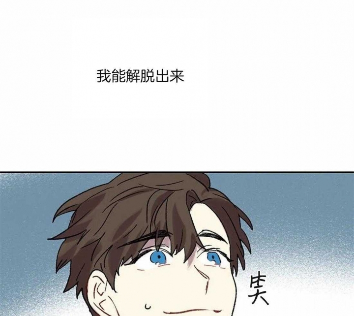 41.jpg