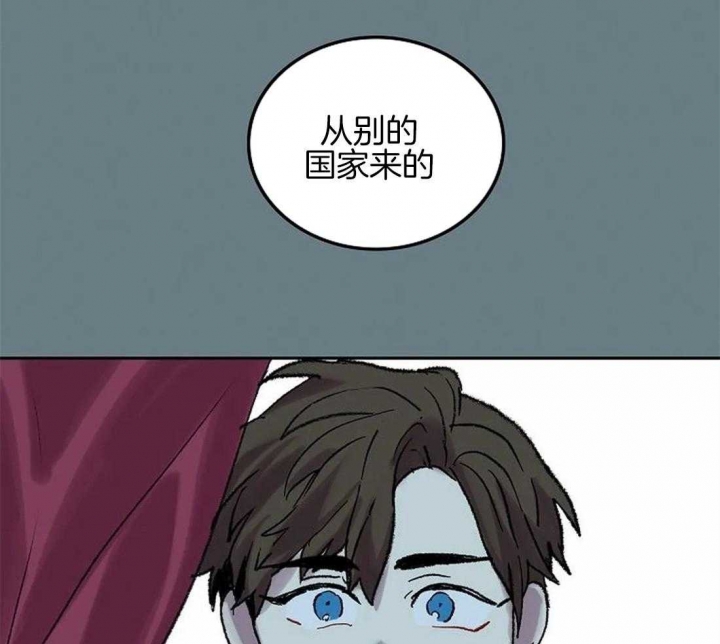 48.jpg