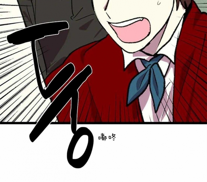 30.jpg