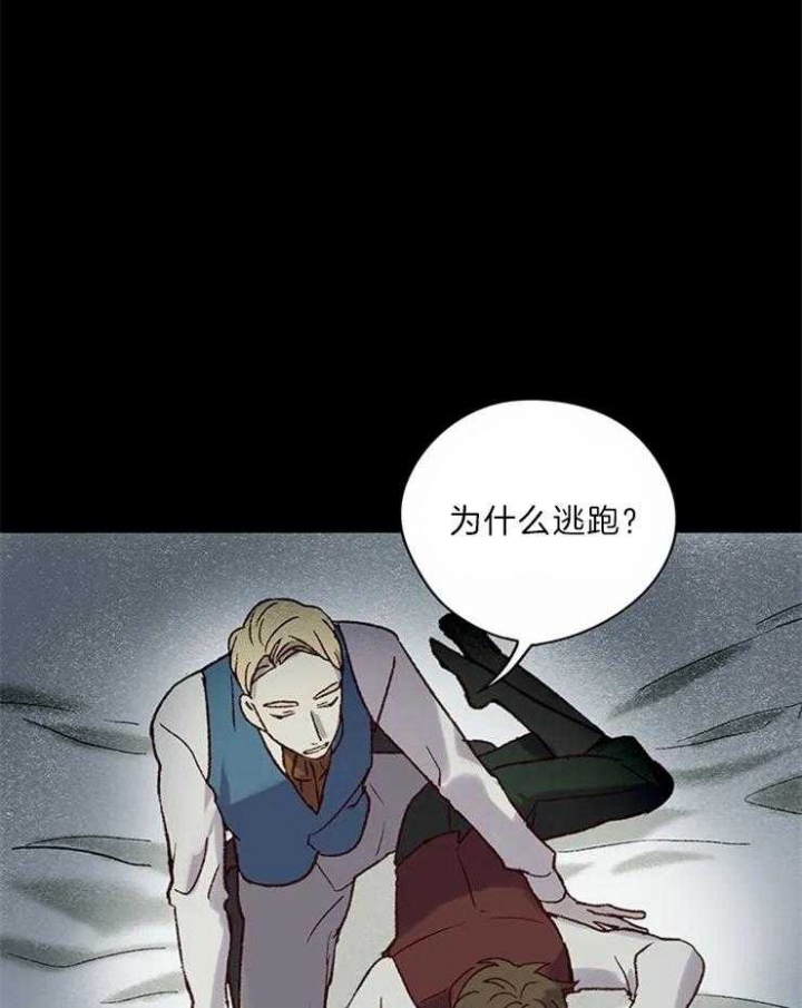 35.jpg