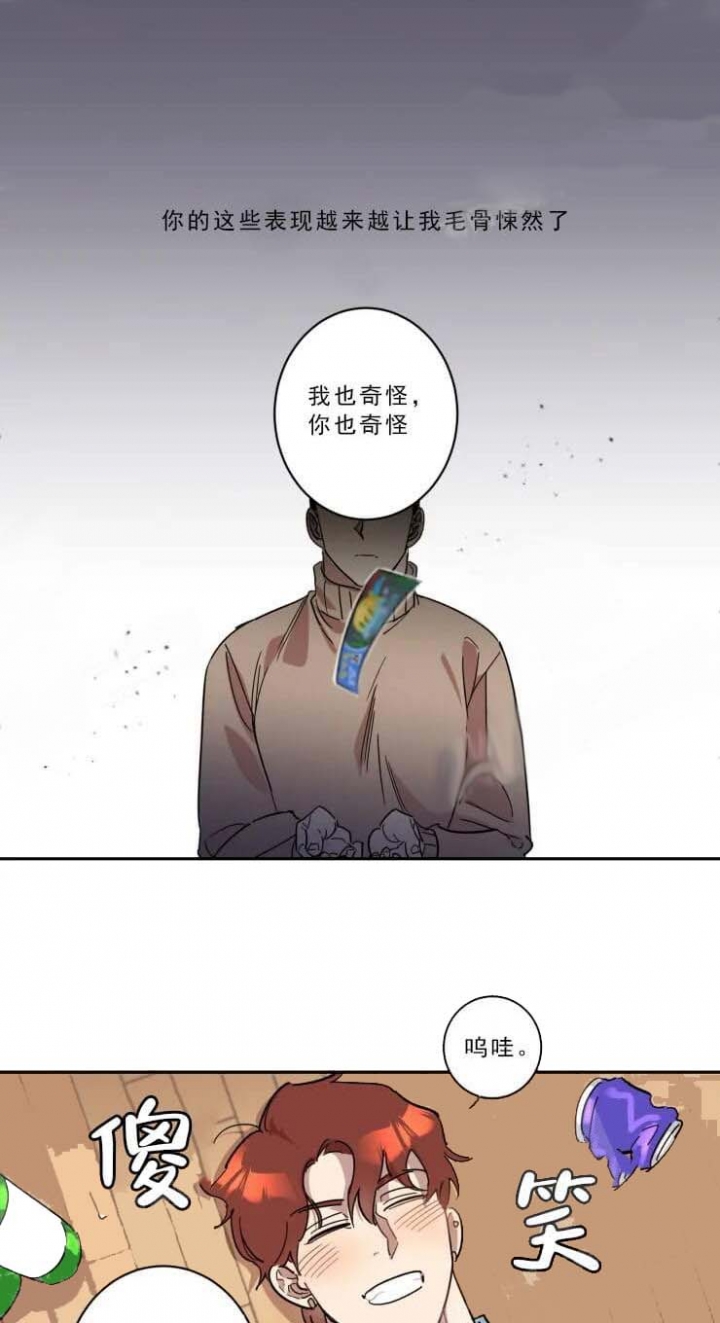 15.jpg