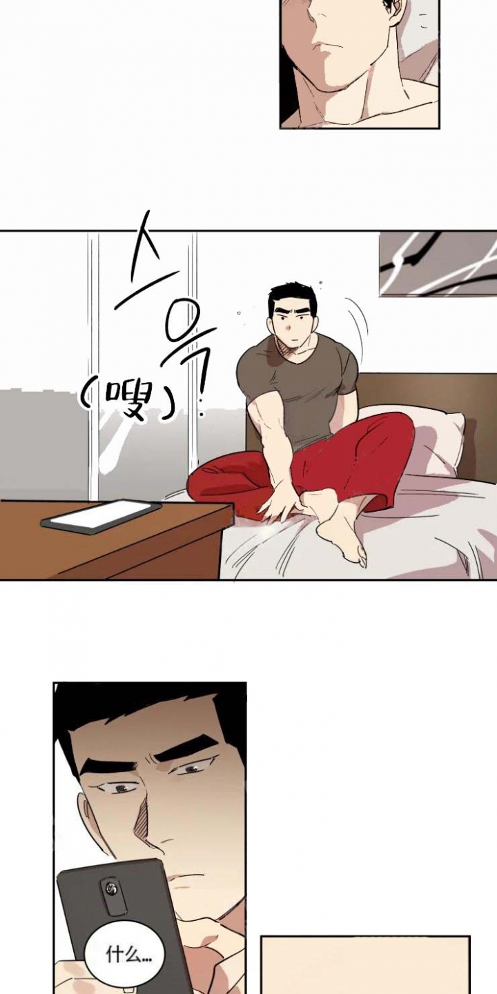 12.jpg