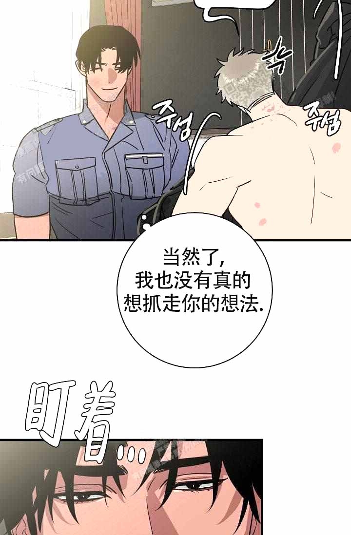 21.jpg
