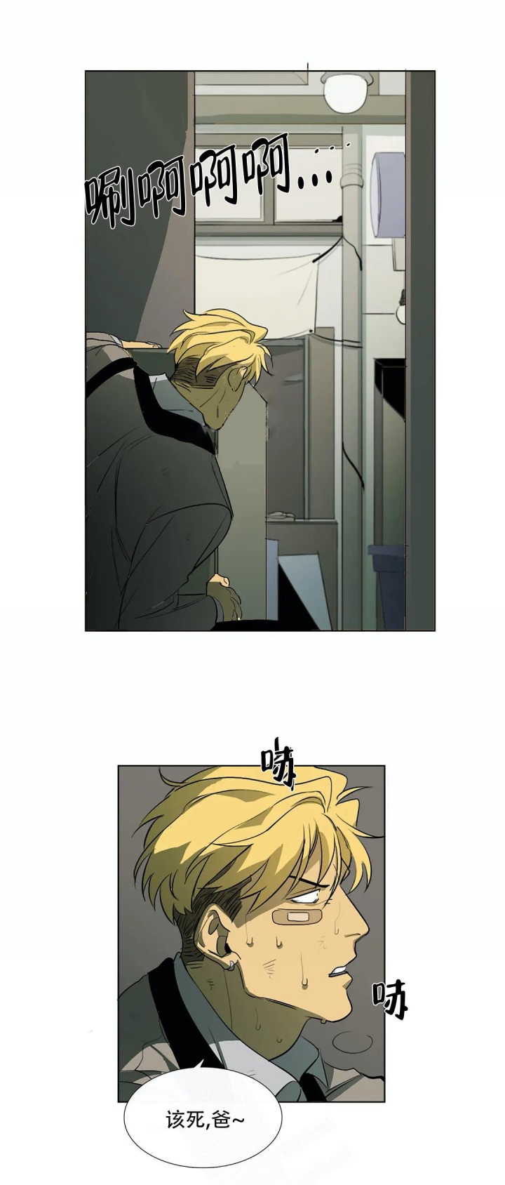 13.jpg