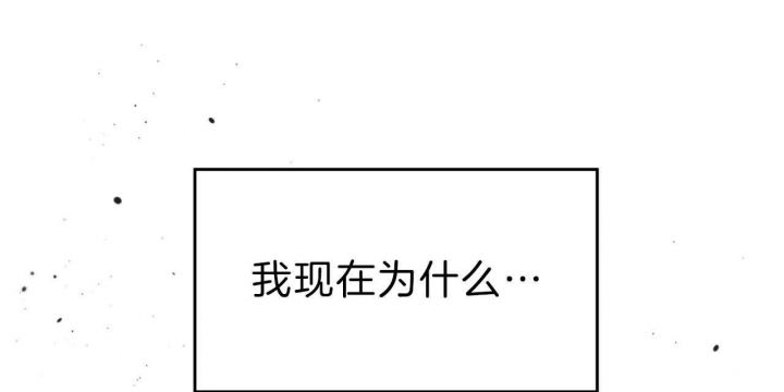 95.jpg