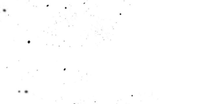100.jpg