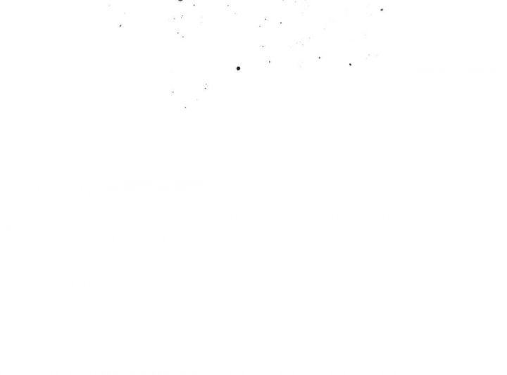 101.jpg