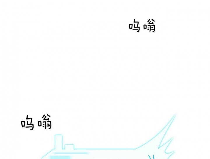 52.jpg