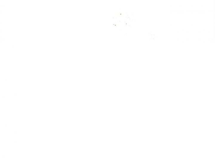 57.jpg